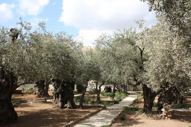 jerusalem-terra-santa