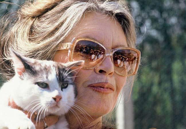 feliz-aniversario-brigitte-bardot-pelos-seus-84-anos