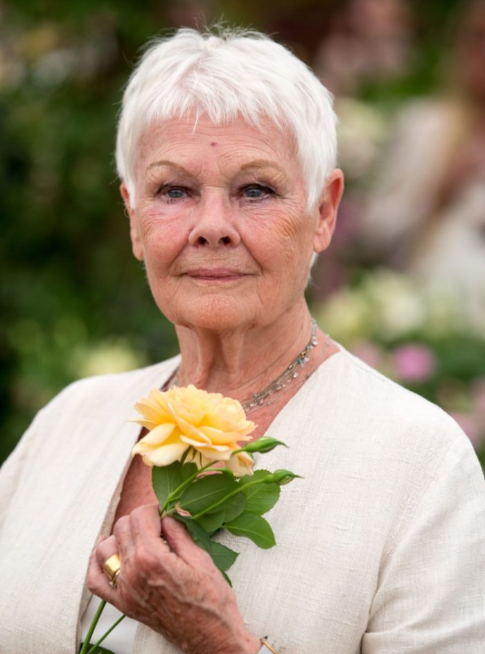 a-veterana-atriz-judy-dench-e-o-diagnostico-de-degeneraçao-imaculada