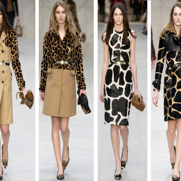 10-looks-com-tendencia-animal-print